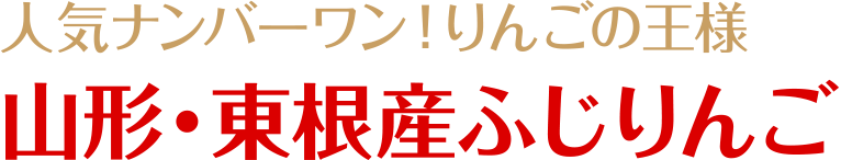 人気ナンバーワン！りんごの王様山形・東根産ふじりんご