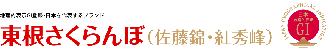 地理的表示GI登録・日本を代表するブランド。東根さくらんぼ（佐藤錦・紅秀峰）