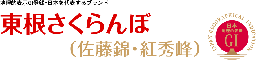 地理的表示GI登録・日本を代表するブランド。東根さくらんぼ（佐藤錦・紅秀峰）